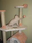     
: IMG_3449.jpg
: 133
:	59.5 
ID:	3200727