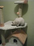     
: IMG_3448.jpg
: 141
:	94.8 
ID:	3200731