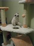     
: IMG_3445.jpg
: 149
:	97.8 
ID:	3200733
