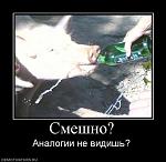     
: 29210939.jpg
: 8
:	37.0 
ID:	3203124