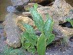     
: DSCF2614.jpg
: 31
:	238.4 
ID:	3204352