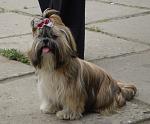     
: P5100374mini.jpg
: 42
:	68.4 
ID:	320541