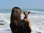    
: IMG_0178.jpg
: 74
:	111.1 
ID:	3208869