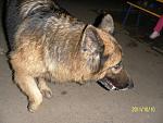     
: SAM_1728.JPG
: 42
:	79.6 
ID:	3209810