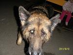     
: SAM_1727.JPG
: 52
:	86.8 
ID:	3209811