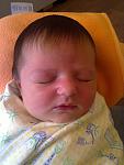     
: 15052011074.jpg
: 49
:	77.1 
ID:	3210759
