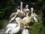     
: DSC00233.jpg
: 29
:	129.2 
ID:	321522