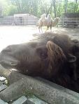     
: DSC00245.jpg
: 39
:	62.8 
ID:	321530