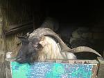     
: DSC00250.jpg
: 36
:	88.7 
ID:	321531