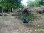     
: DSC00262.jpg
: 42
:	154.3 
ID:	321556