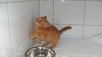    
: SDC15172.jpg
: 23
:	50.6 
ID:	3216021