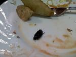     
: tarakany_1.jpg
: 365
:	70.4 
ID:	3219045