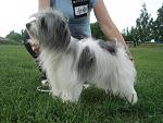    
: Victoria ot Doroschinoy 2.jpg
: 188
:	179.8 
ID:	3219344