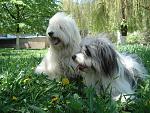     
: DSC05666.jpg
: 384
:	227.8 
ID:	3219363
