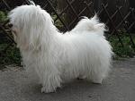     
: Peppi Dio Present 1.jpg
: 154
:	148.0 
ID:	3219372