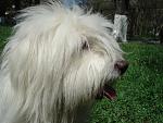     
: Peppi Dio Present 2.jpg
: 170
:	163.1 
ID:	3219373