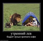     
: s95649825.jpg
: 13
:	47.3 
ID:	3222381