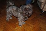     
: DSC_0005.jpg
: 59
:	113.2 
ID:	3222707
