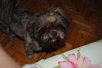    
: DSC_0006.jpg
: 56
:	86.1 
ID:	3222713