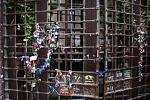     
: DSC04622.JPG
: 33
:	69.9 
ID:	3232083