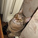     
: IMG_864111111111.jpg
: 20
:	95.9 
ID:	3236607