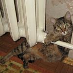     
: IMG_86531111111111.jpg
: 21
:	113.8 
ID:	3236608