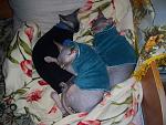     
: 100_0775.jpg
: 36
:	165.7 
ID:	3237706