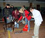     
: DSC04578.jpg
: 53
:	138.8 
ID:	3239379