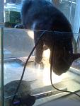     
: 2.10.2011 (6).jpg
: 17
:	74.4 
ID:	3243931