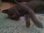     
: 23.09.2011г (16).jpg
: 15
:	159.5 
ID:	3243933