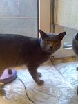     
: 2.10.2011 (9).jpg
: 17
:	70.9 
ID:	3243937