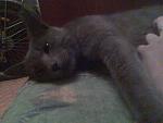     
: 23.09.2011г (12).jpg
: 14
:	159.9 
ID:	3243939