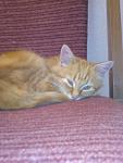    
: 20111016172915.jpg
: 42
:	66.7 
ID:	3250296
