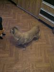     
: 20111009164539.jpg
: 44
:	62.3 
ID:	3250297