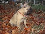     
: DSC05931.jpg
: 38
:	194.9 
ID:	3250590
