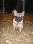     
: DSC05993.jpg
: 44
:	136.5 
ID:	3250592
