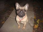     
: DSC06006.jpg
: 32
:	160.4 
ID:	3250595