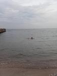     
: z_a05eacb0.jpg
: 65
:	142.6 
ID:	3250882
