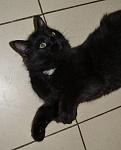     
: DSC_0323 с галстучком - &#1082.jpg
: 23
:	75.2 
ID:	3254552
