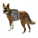     
: urban_dog.jpg
: 42
:	16.0 
ID:	325514