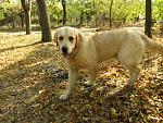     
: PA210042.jpg
: 42
:	236.5 
ID:	3262111