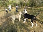     
: PA210047.jpg
: 45
:	303.7 
ID:	3262115