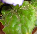     
: DSC08592.jpg
: 50
:	150.1 
ID:	3265994