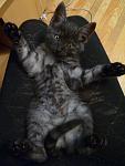    
: Изображение 120.jpg
: 63
:	90.7 
ID:	3267302