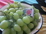     
: IMG_0842.jpg
: 33
:	107.2 
ID:	3272532