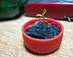     
: IMG_1919-2.jpg
: 31
:	174.9 
ID:	3272704