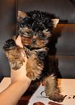     
: DSC_1265.jpg
: 84
:	70.2 
ID:	3272967