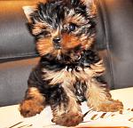     
: DSC_1235.jpg
: 89
:	128.4 
ID:	3272968
