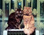     
: Photo-0013.jpg
: 42
:	141.9 
ID:	3279272