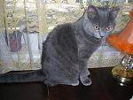     
: DSCN6696.jpg
: 34
:	118.1 
ID:	3285624